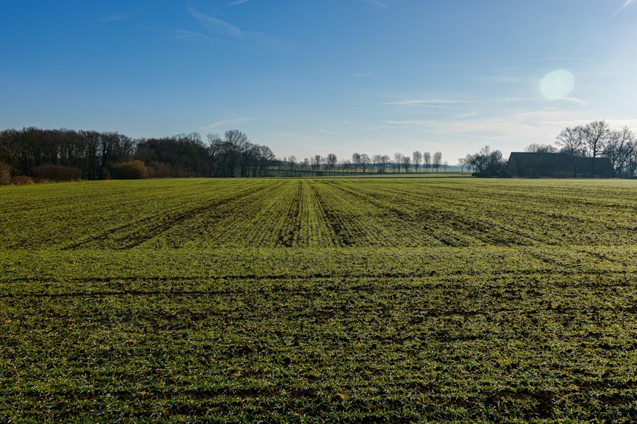Agriculture Funding